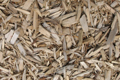 biomass boilers Bryn Celyn